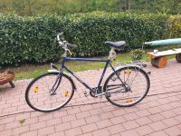 Herkules Herren Fahrrad 28zoll Niedersachsen - Ritterhude Vorschau