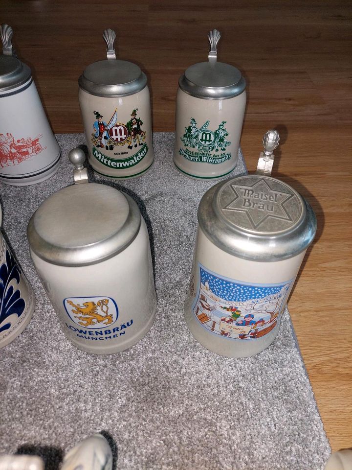 Bierkrüge Biergläser Haakebeck Löwenbräu EKU Holsten etc in Elmshorn