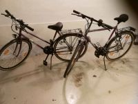 Damen und Herren Fahrrad 28 Zoll Rheinland-Pfalz - Dachsenhausen Vorschau