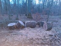 Suche liegenden Spalter, Holzspalter mit Stammheber Growi BGU Niedersachsen - Algermissen Vorschau