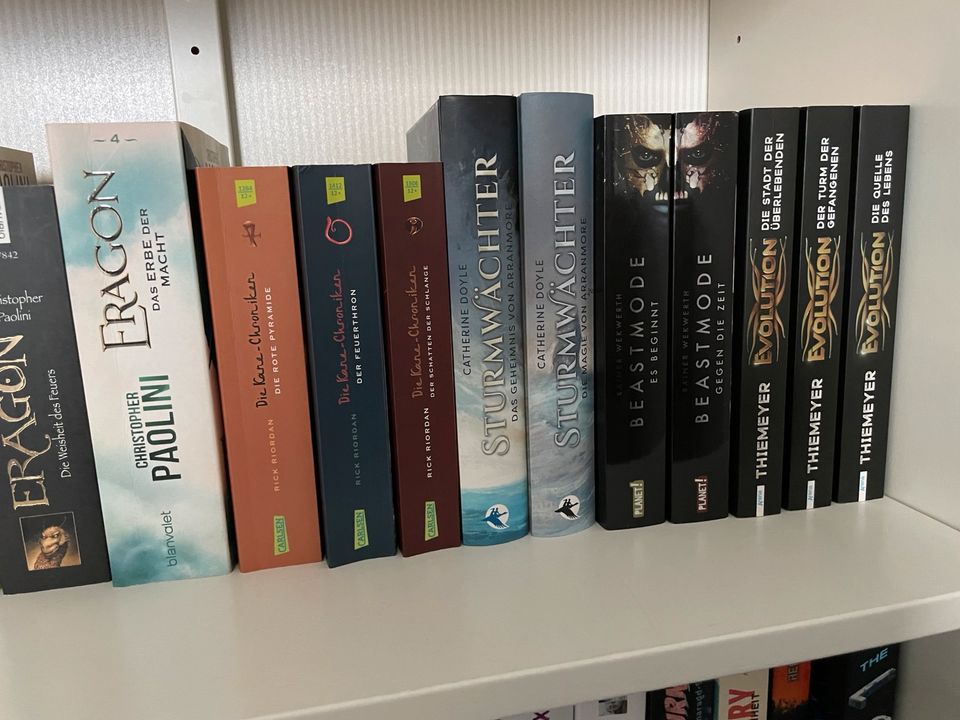 Fantasy Bücher Jugend in Öhringen