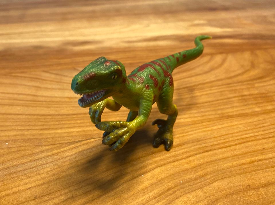 Schleich Dinosaurier + 4 Stück im Paket oder solo in Köln