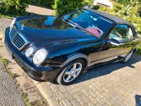 Mercedes CLK 200 Kompressor Schwarz  TÜV Sep.23 Bayern - Sulzbach-Rosenberg Vorschau