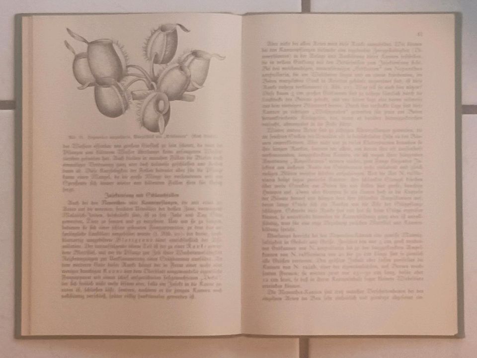 Antiquarisches Buch von 1934 "Pflanzen auf Insektenfang" in Edewecht