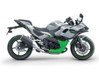 Kawasaki Ninja 7 Hybrid Hessen - Weiterstadt Vorschau