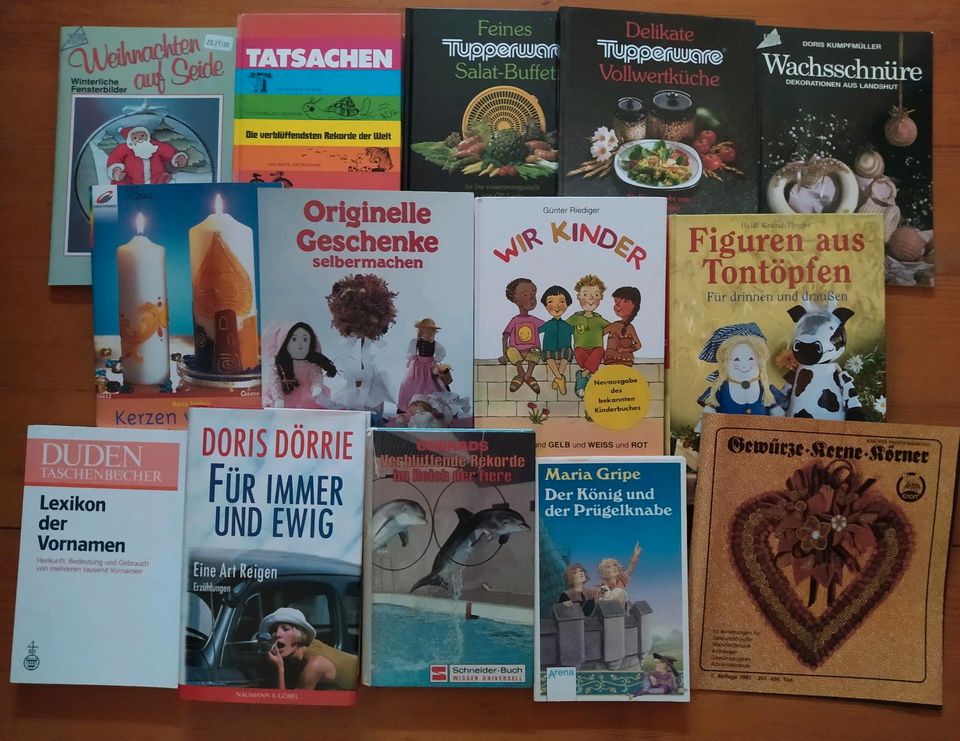 14 Bücher Paket Konvolut Basteln Kochen Roman Kinder in Rust
