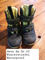 Geox Winterstiefel Gr.25 Waterproof Rheinland-Pfalz - Rödersheim-Gronau Vorschau