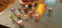 Littlest pet shop Sachsen - Chemnitz Vorschau