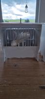 Alte Vogelkäfige Shabby chic Vintage Baden-Württemberg - Aichtal Vorschau