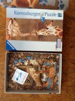 Ravensburger Puzzle Giraffe 1000 Teile komplett in OVP Panorama Bayern - Amberg Vorschau