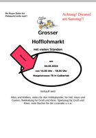 Samstag 4. Mai Hofflohmarkt Niedersachsen - Calberlah Vorschau