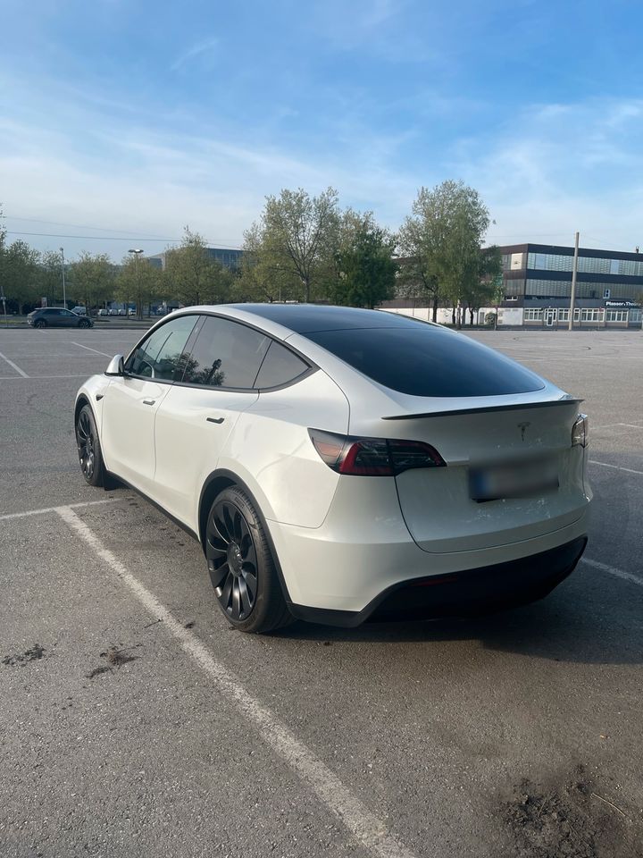 Tesla Model Y Performance in Pocking