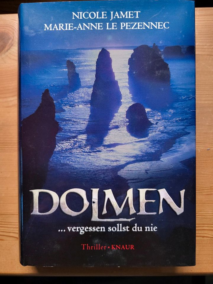 Buch - Nicole Jamet - Dolmen...vergessen sollst du nie in Kiel