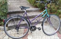 Damenfahrrad City Trekking "REX Traveller Lady" Nordrhein-Westfalen - Möhnesee Vorschau