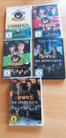 Dvd set Wilde Kerle 1-5 Nordrhein-Westfalen - Bad Laasphe Vorschau