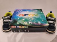 Geox Sport Sneakers Sachsen-Anhalt - Südharz Vorschau