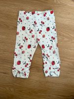 Kinder Leggings Gr. 74 Frankfurt am Main - Eckenheim Vorschau