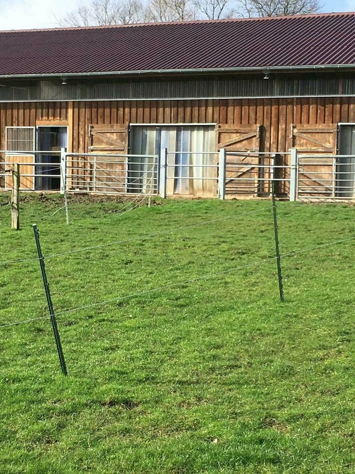 Einzel -Doppelbox mit Sandpaddock,Selbstversorger-Teilversorgung in Schürensöhlen