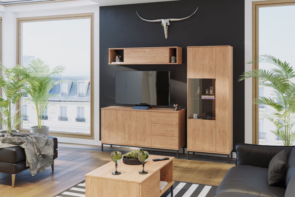 Schrank kommode TV-Board Fernsehertisch ELEGANT Set QUER in Berlin