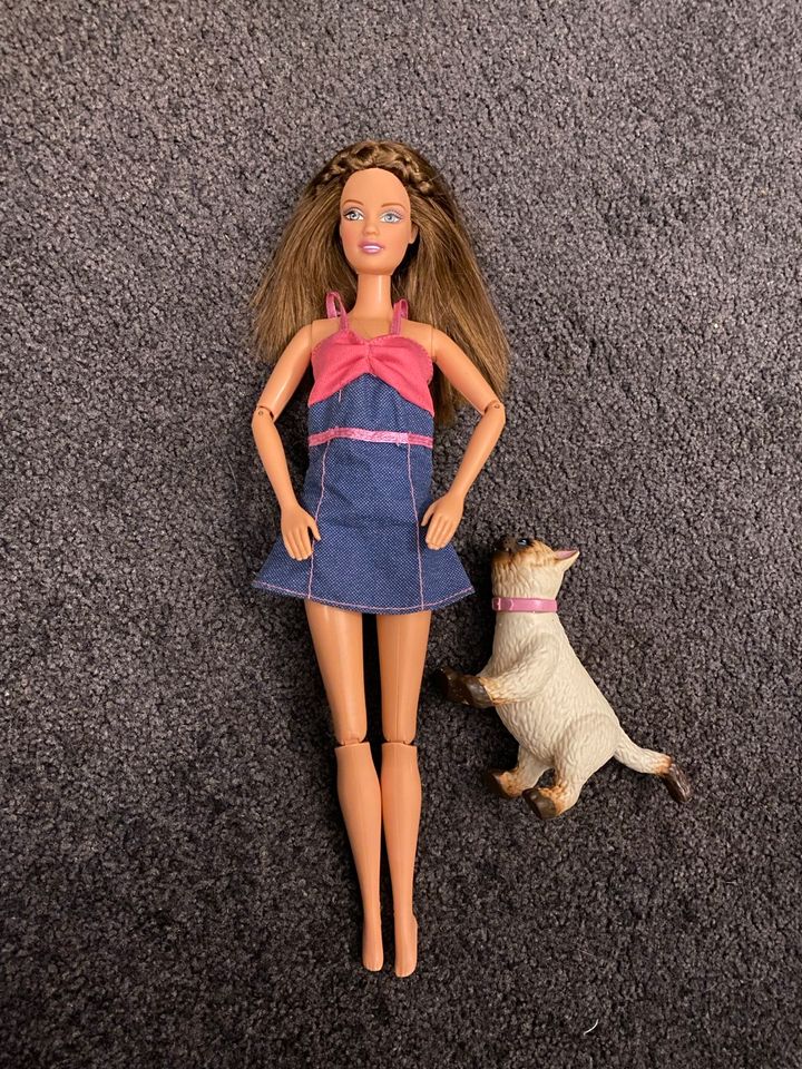 Barbie Teresa Made to Move mit Katze brünett in Groß-Bieberau