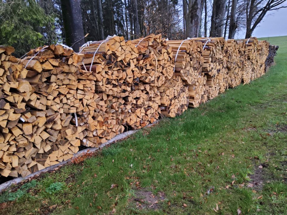 Brennholz Buchenholz Kaminholz in Sulzbach-Laufen