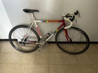 Panasonic PR2000 Rennrad mit neuem Fulcrum Racing Laufradsatz Bayern - Rosenheim Vorschau