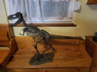 COG XXL T-Rex Dinosaurier Skelett Modell Rarität Rheinland-Pfalz - Diez Vorschau