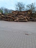 Stammholz Container Buche Eiche Birke Laubholz Brennholz Holz Nordrhein-Westfalen - Olfen Vorschau