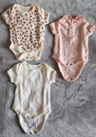 Bodys /  Kurzarmbodys / Body Newborn/ Body Sachsen - Bautzen Vorschau