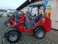 Weidemann 1390 Hoflader Hoftrac Schutzdach 45 PS Hessen - Gudensberg Vorschau