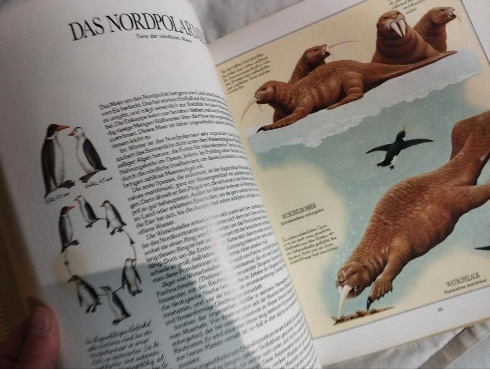 Die Welt nach uns,eine Zoologie der Zukunft aus 1981, Rarität in Weißenburg in Bayern