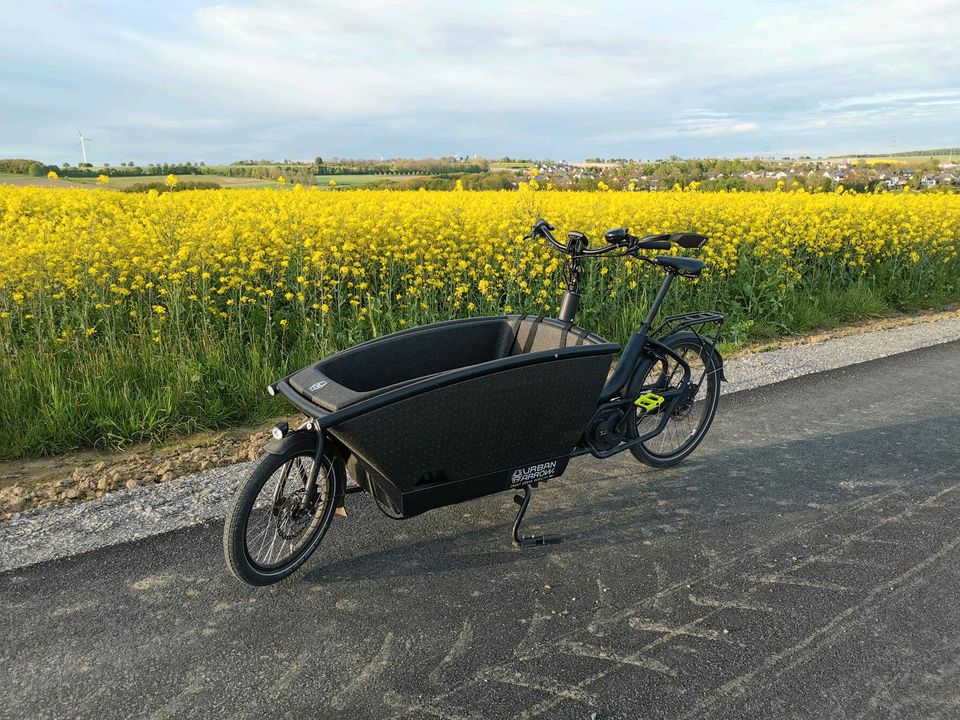 Urban Arrow Lastenrad Fahrrad Familie Transportrad E-Bike E Motor in Ense