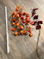 Künstlicher Physalis Zweig Früchte, rot-orange, Nordrhein-Westfalen - Wegberg Vorschau