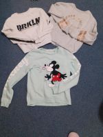 Sweatshirts 158/164 H&M Baden-Württemberg - Bissingen an der Teck Vorschau