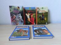 3 Bücher Pferdeclub  2 Bücher Fest im Sattel Buch Pferde Baden-Württemberg - Dettingen an der Iller Vorschau