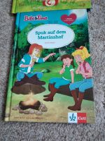 BIBI UND TINA 1. KLASSE / PONYGESCHICHTEN Schleswig-Holstein - Fockbek Vorschau