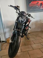 Zündapp ZRN 125 Naked Neufahrzeug Bayern - Memmingen Vorschau