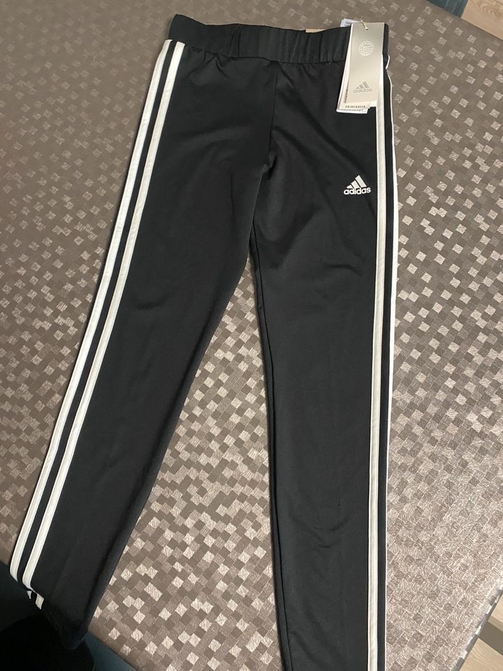 Adidas Trainingshose  Neu! Leggings Gr. 152 Sporthose Tights Fit in Dormagen