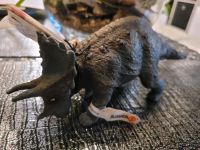 Schleich Triceratops 1999 Nordrhein-Westfalen - Kevelaer Vorschau