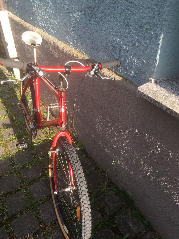 Cannondale Retro Mountainbike Alpine Größe L red bicycle in München