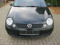 Motorhaube VW Lupo Farbe schwarz L041 Vorpommern-Rügen - Landkreis - Sundhagen Vorschau