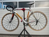 Cannondale Giro D'Italia Fahrrad Rennrad Youngtimer Campagnolo Bayern - Mainstockheim Vorschau