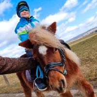 Lust auf Pony reiten??? Baden-Württemberg - Dornstetten Vorschau