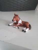 Schleich Pfohlen Berlin - Marienfelde Vorschau