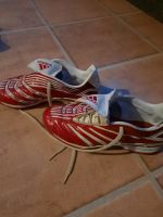 Fussballschuhe Gr 38 Adidas Rheinland-Pfalz - Etschberg Vorschau