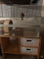 Hamster Käfig inkl. Zubehör Hannover - Südstadt-Bult Vorschau