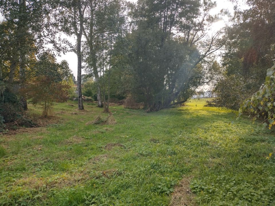 Großes wildes Gartengrundstück zu verpachten in Feuchtwangen