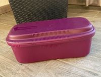 Tupperware Pasta Meister 1,9 Liter Mikrowelle Bayern - Waldbrunn Vorschau