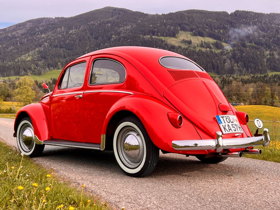 Volkswagen Käfer Export Ovali 1957, Winker, mit Papp Brief in Bad Tölz