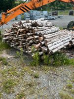 Brennholz Birke Ofen Kamin Holz Sachsen - Markneukirchen Vorschau